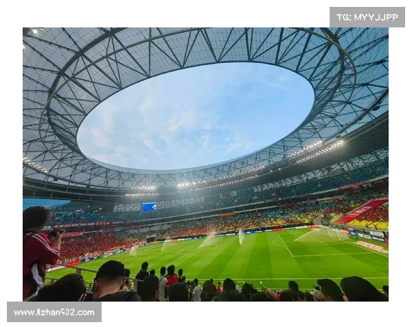 成都蓉城75万欧元报价引发热议背后原因分析